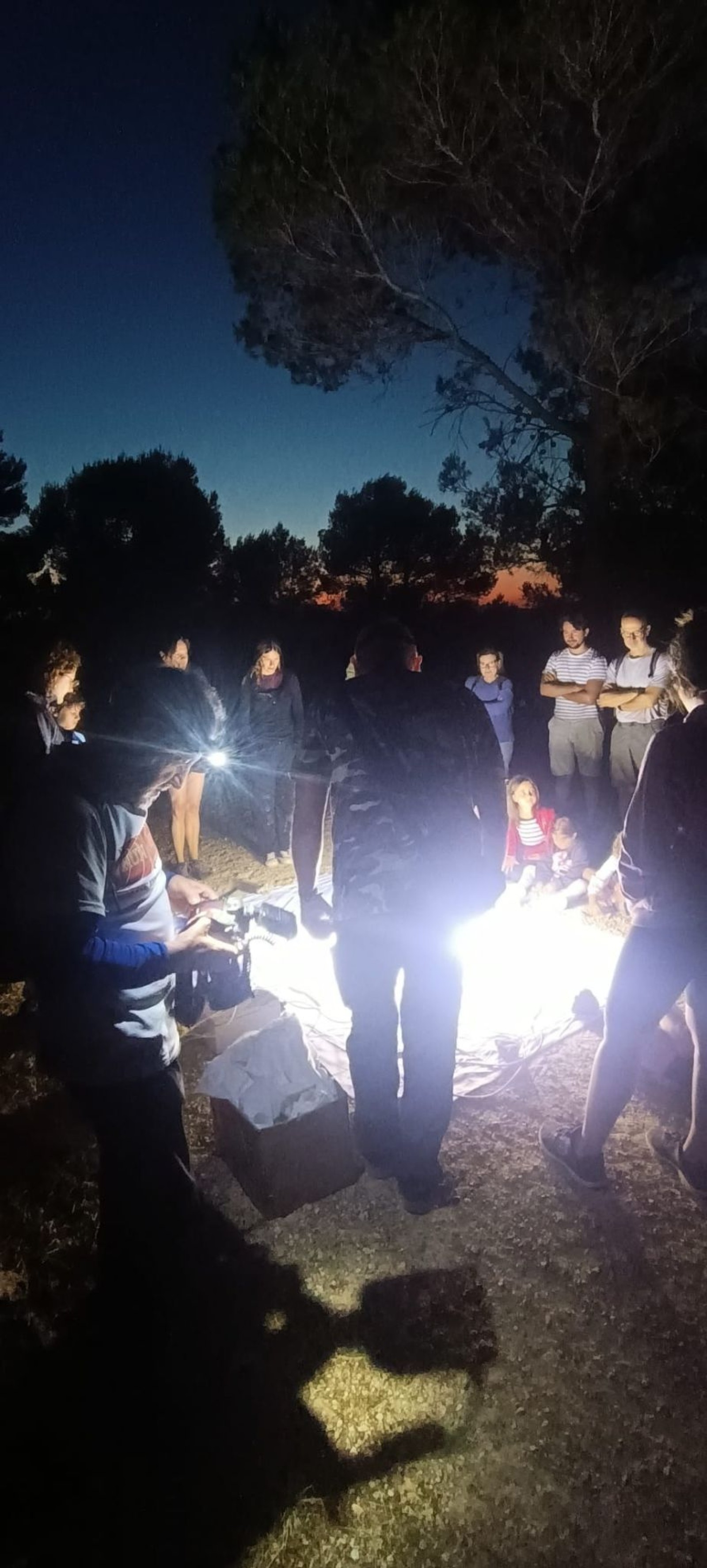 ECOACTIVITATS D'ESTIU