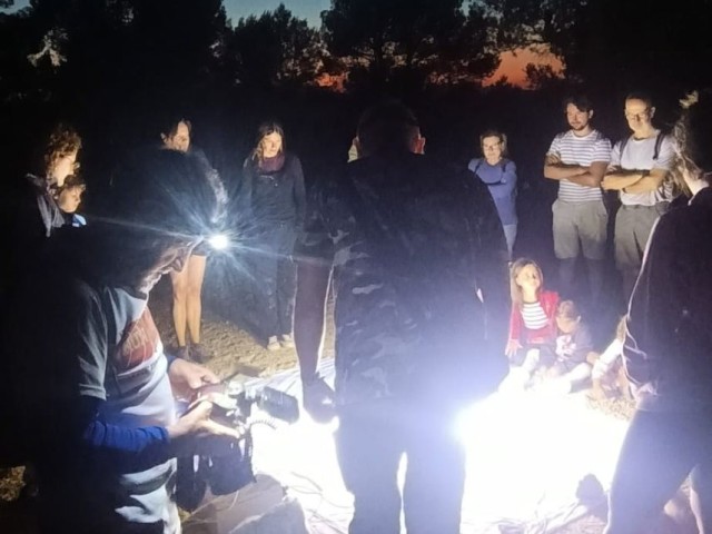 ECOACTIVITATS D'ESTIU