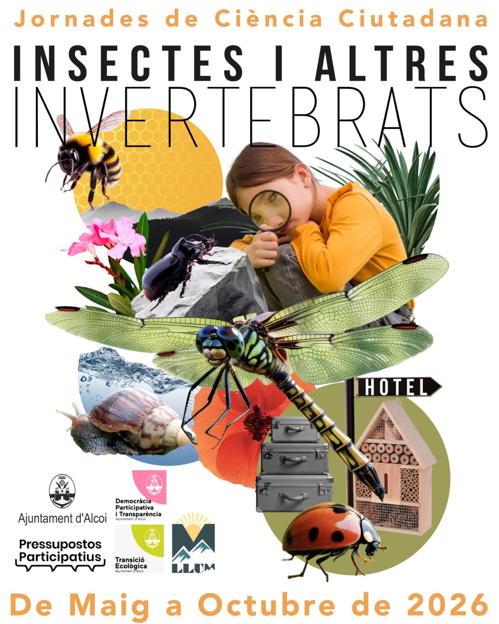 Educació ambiental amb impacte real
