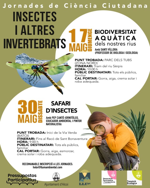 Llum Ambiental