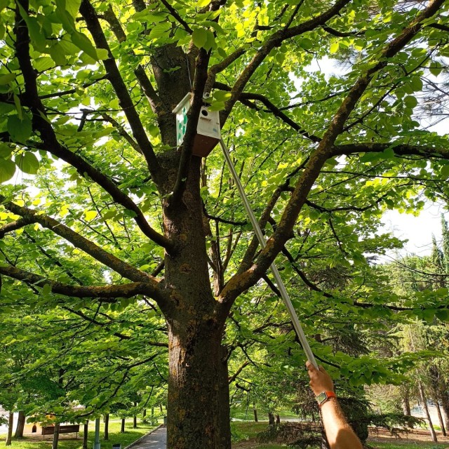 Los parques urbanos, espacio para la educación ambiental.