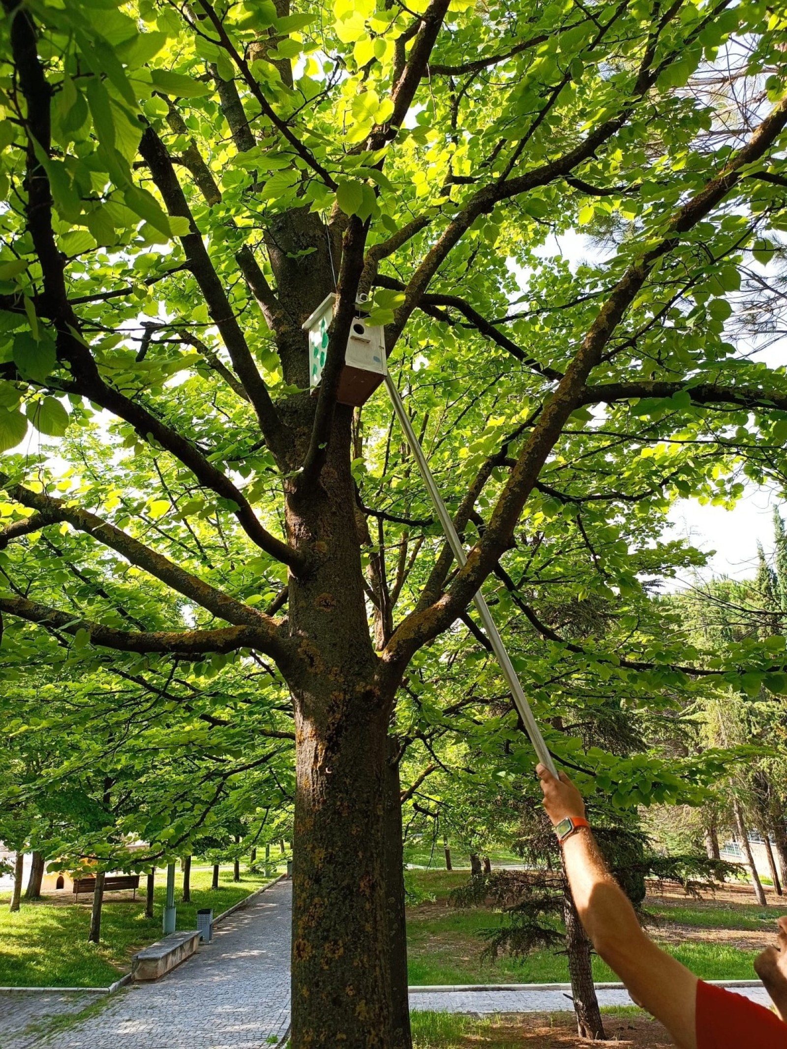 Arbres i parcs d'Alcoi