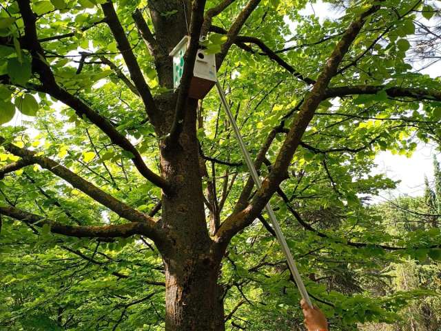 Árboles y parques de Alcoy