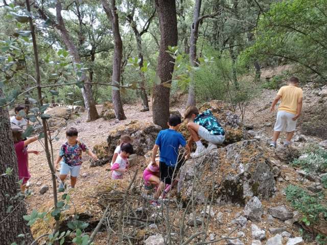 Carrascal de la Font Roja