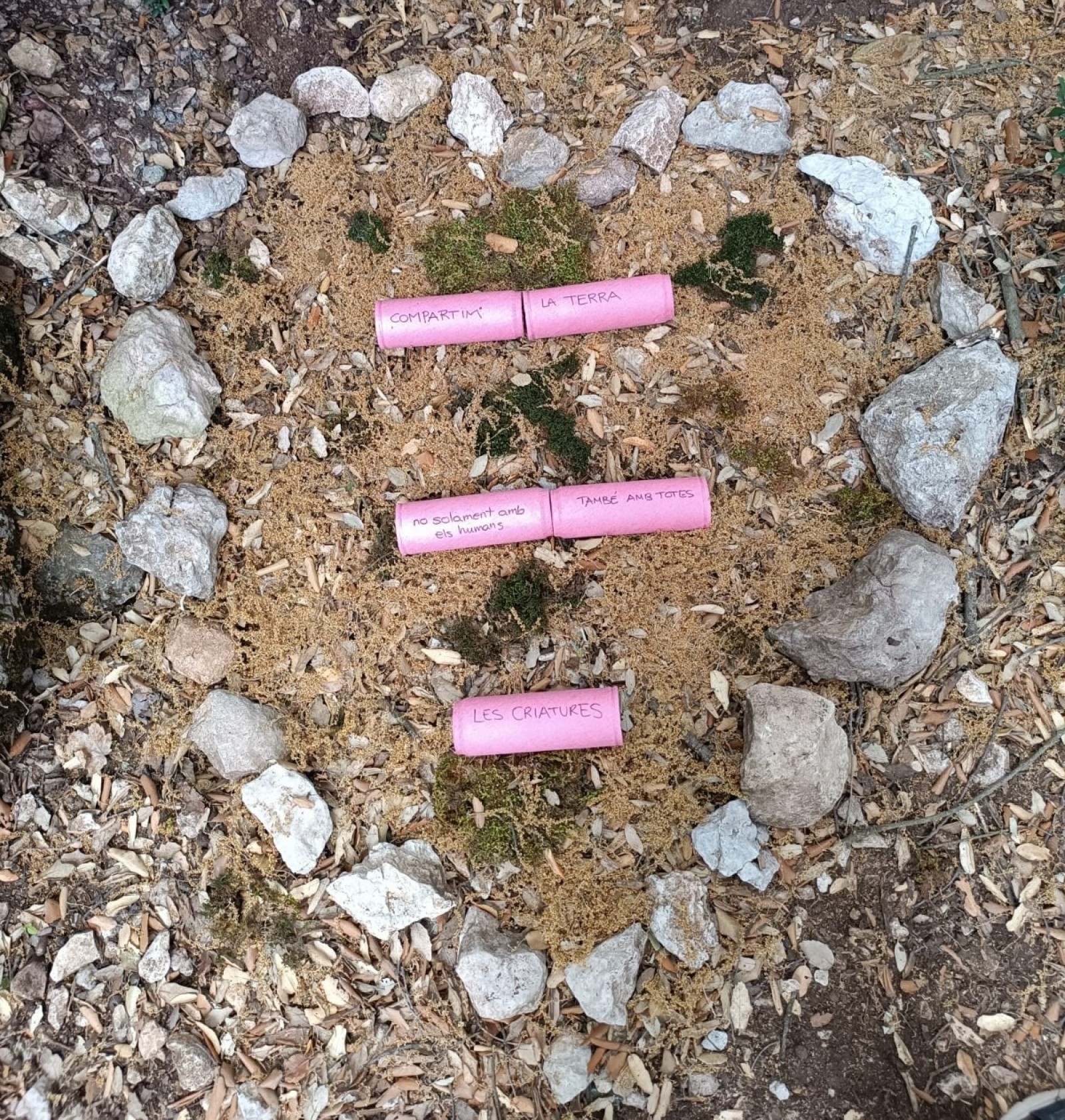 Contes per a cuidar la natura