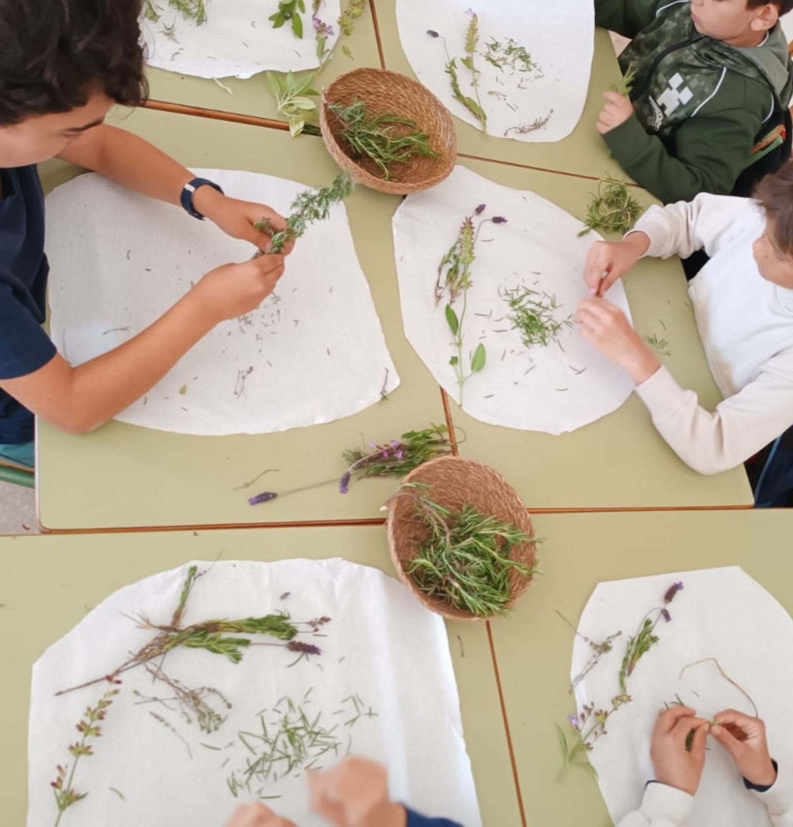Etnobotànica i plantes de la Mariola