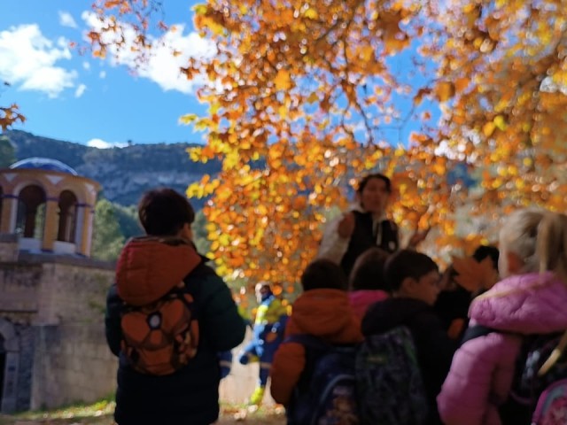 Visitas y excursiones