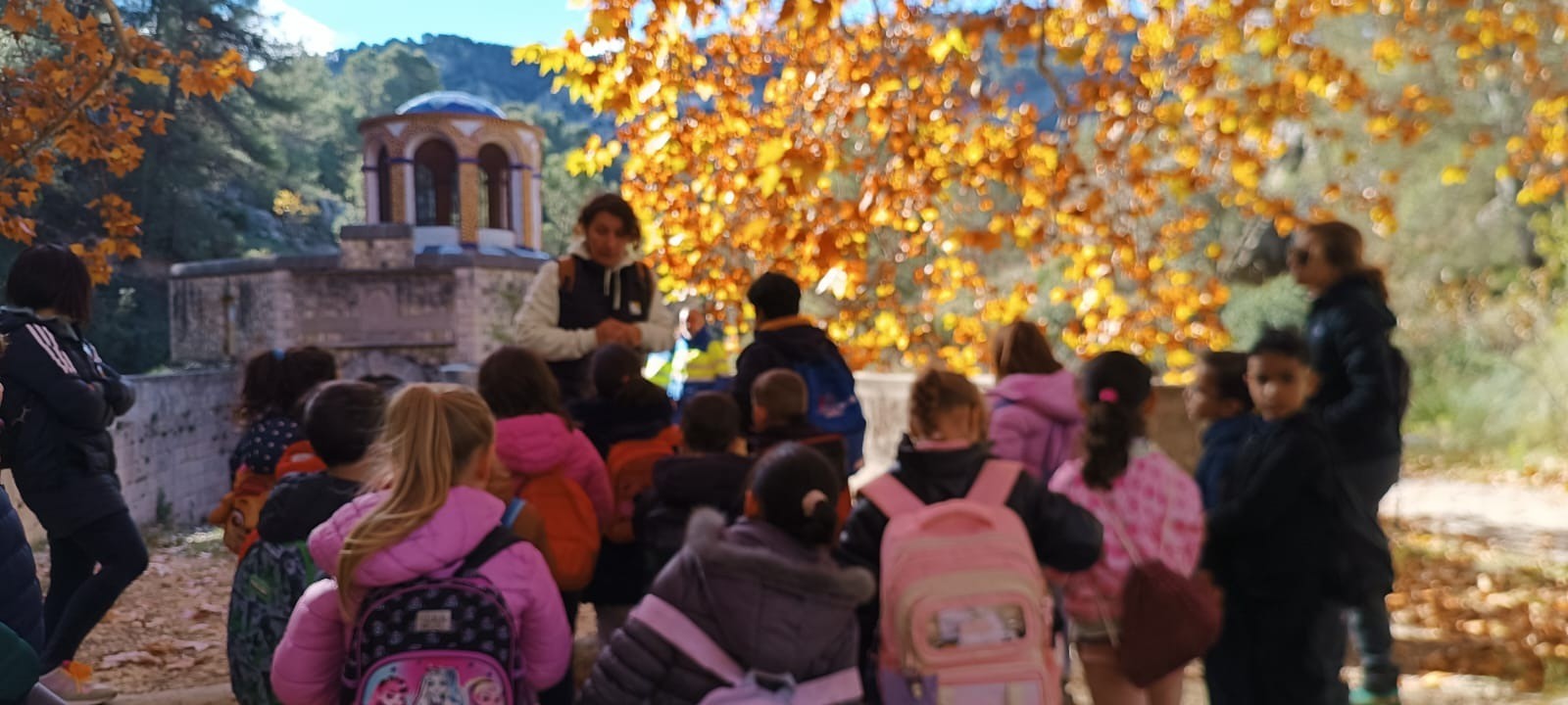 Brollador del Molinar