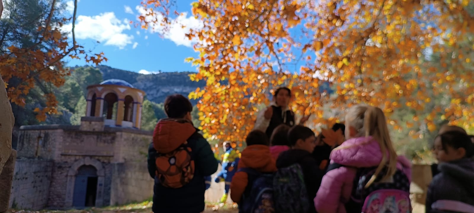 Visitas y excursiones